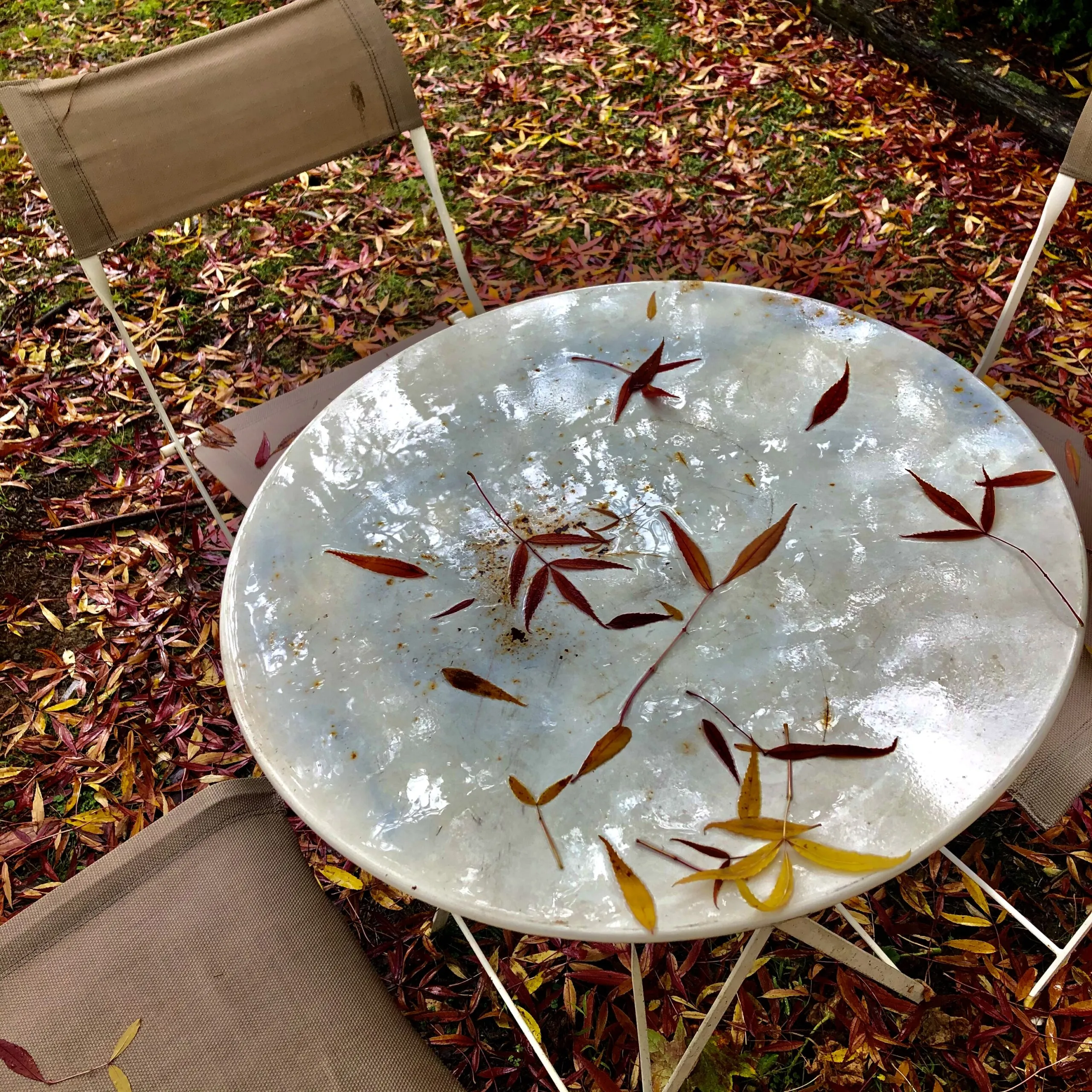 COTTAGE-OUTSIDE-TABLE-CHAIRS-AUTUMN_IMG_0844-copy-scaled-1