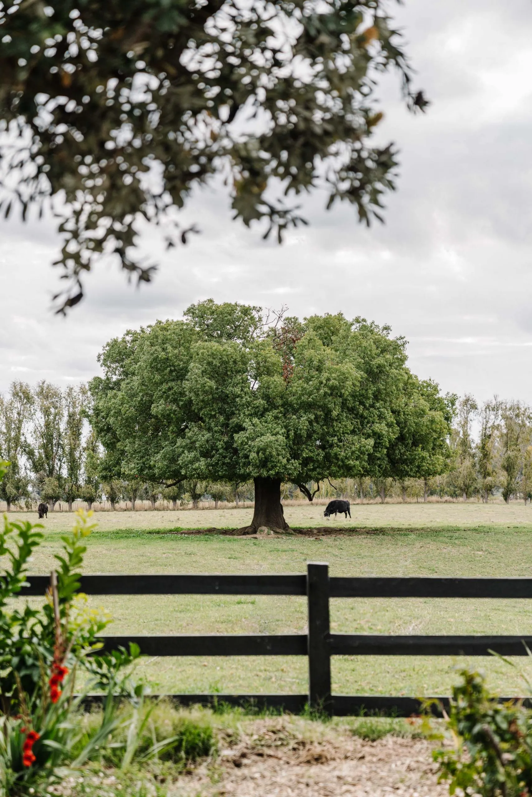 Dunmore-Farm_main-house_low-res-1-scaled