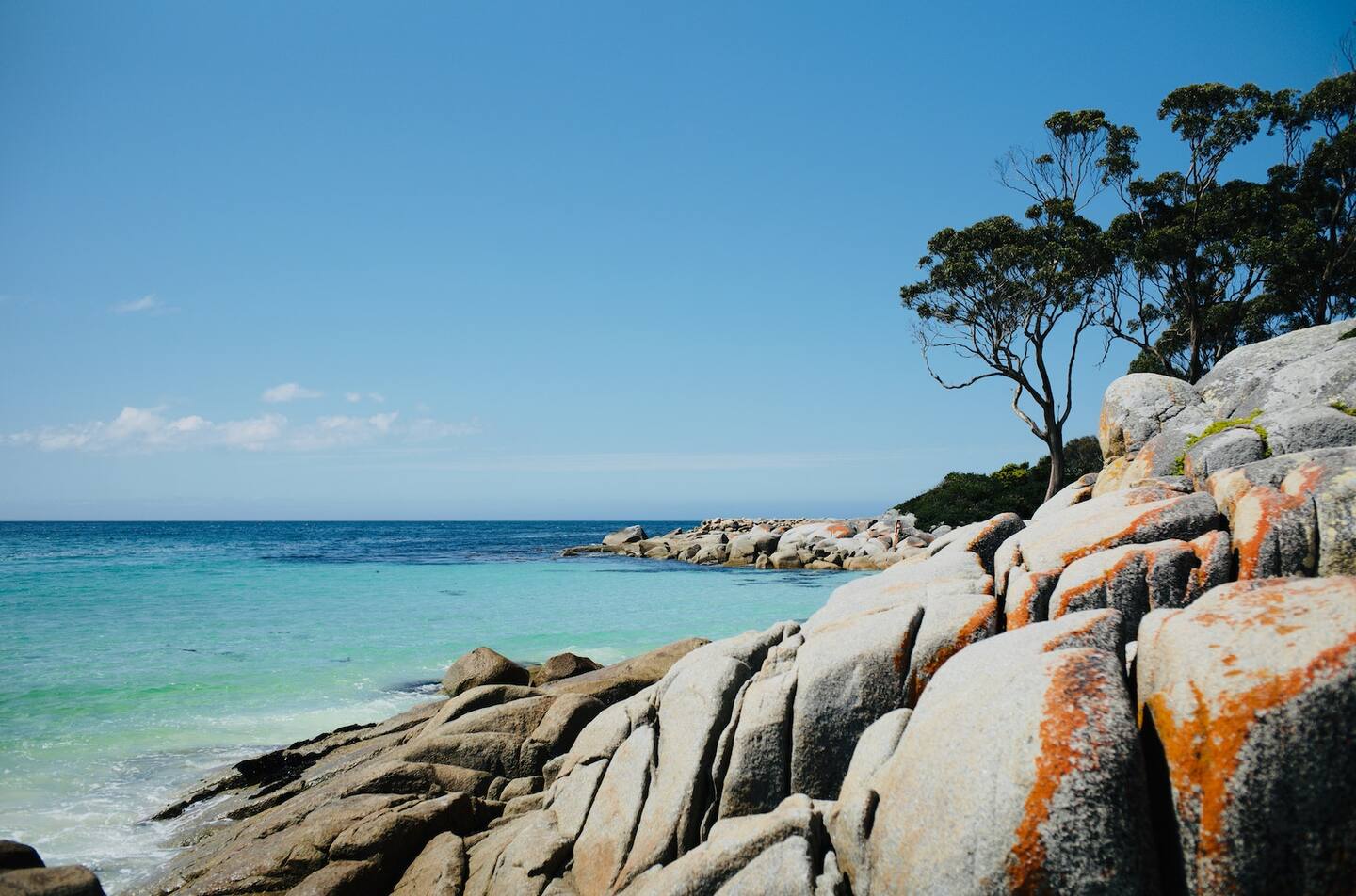 Bay Of Fires Apartments - Suite 2's featured image