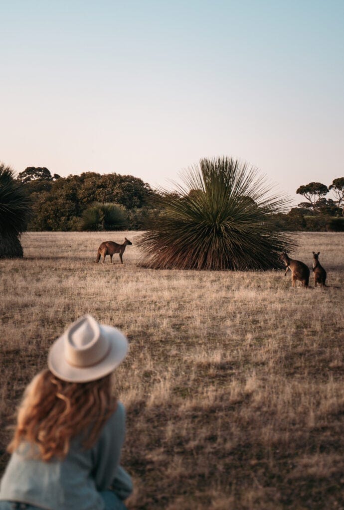 eco-accommodation-kangaroo-island-52