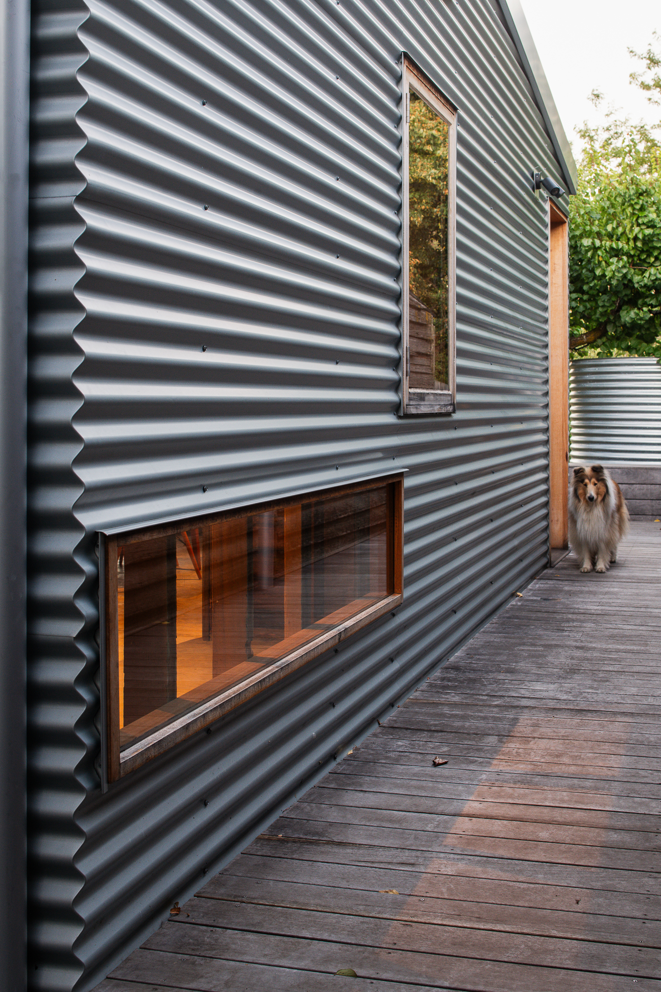 Suite Shed Featured Image 2