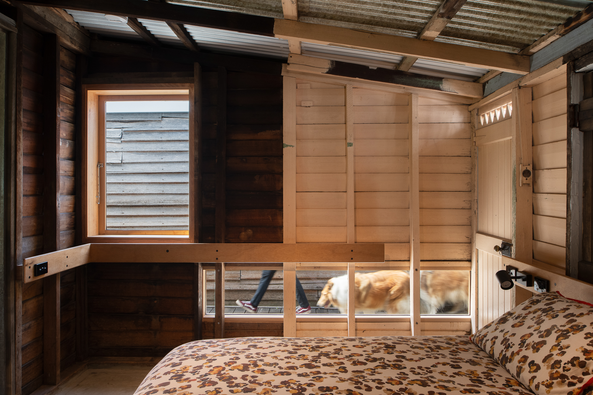 bedroom with person and dogs walking past low window