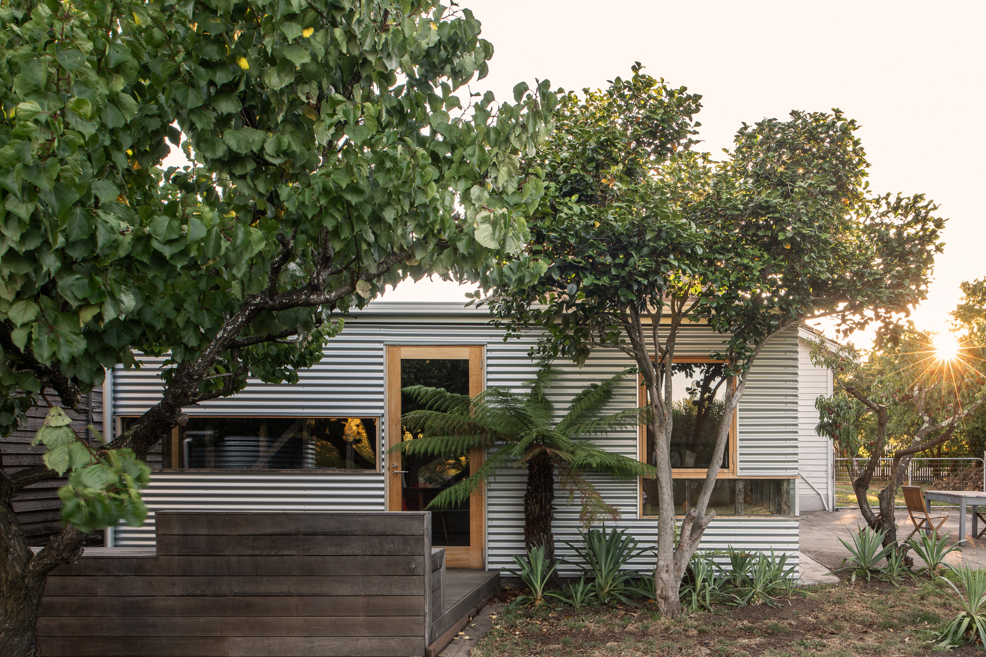 trees in front of metal wall with long horizontal windows