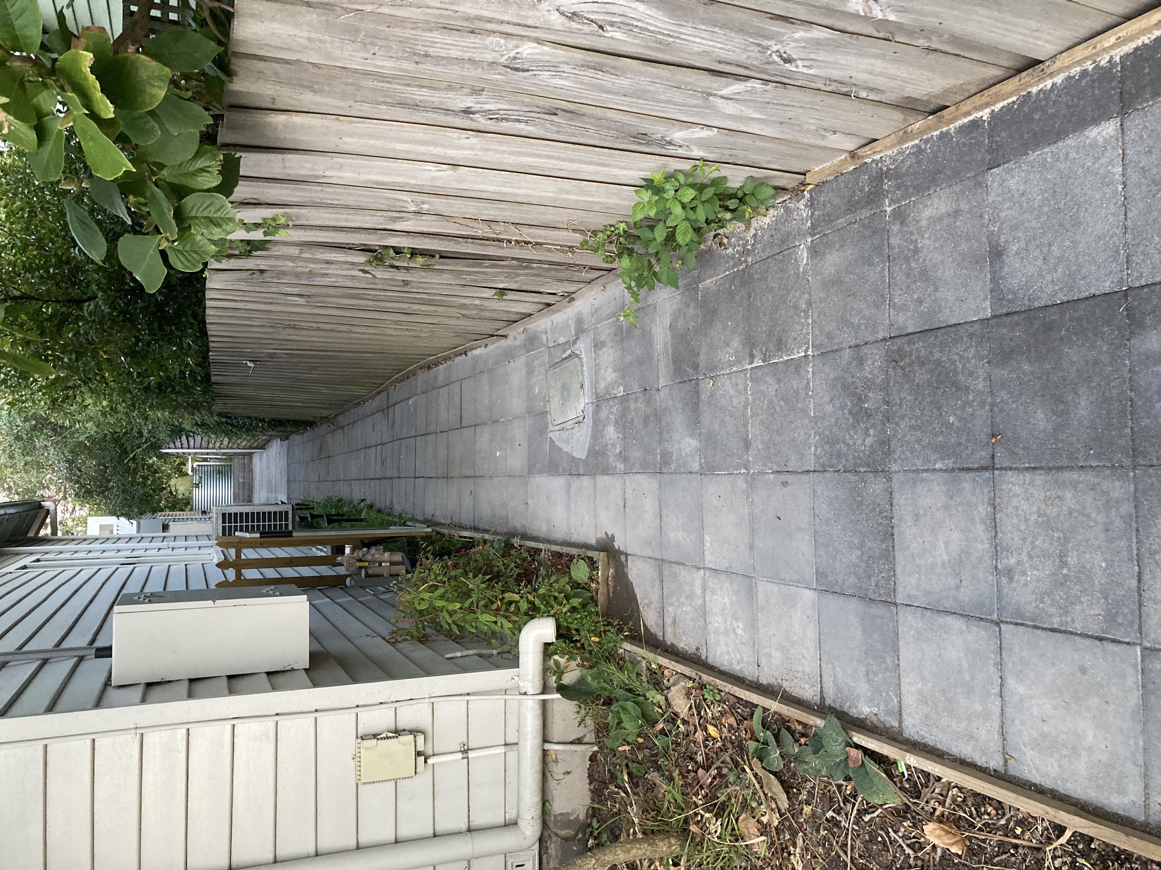 Suite-Shed-path2-accessibility