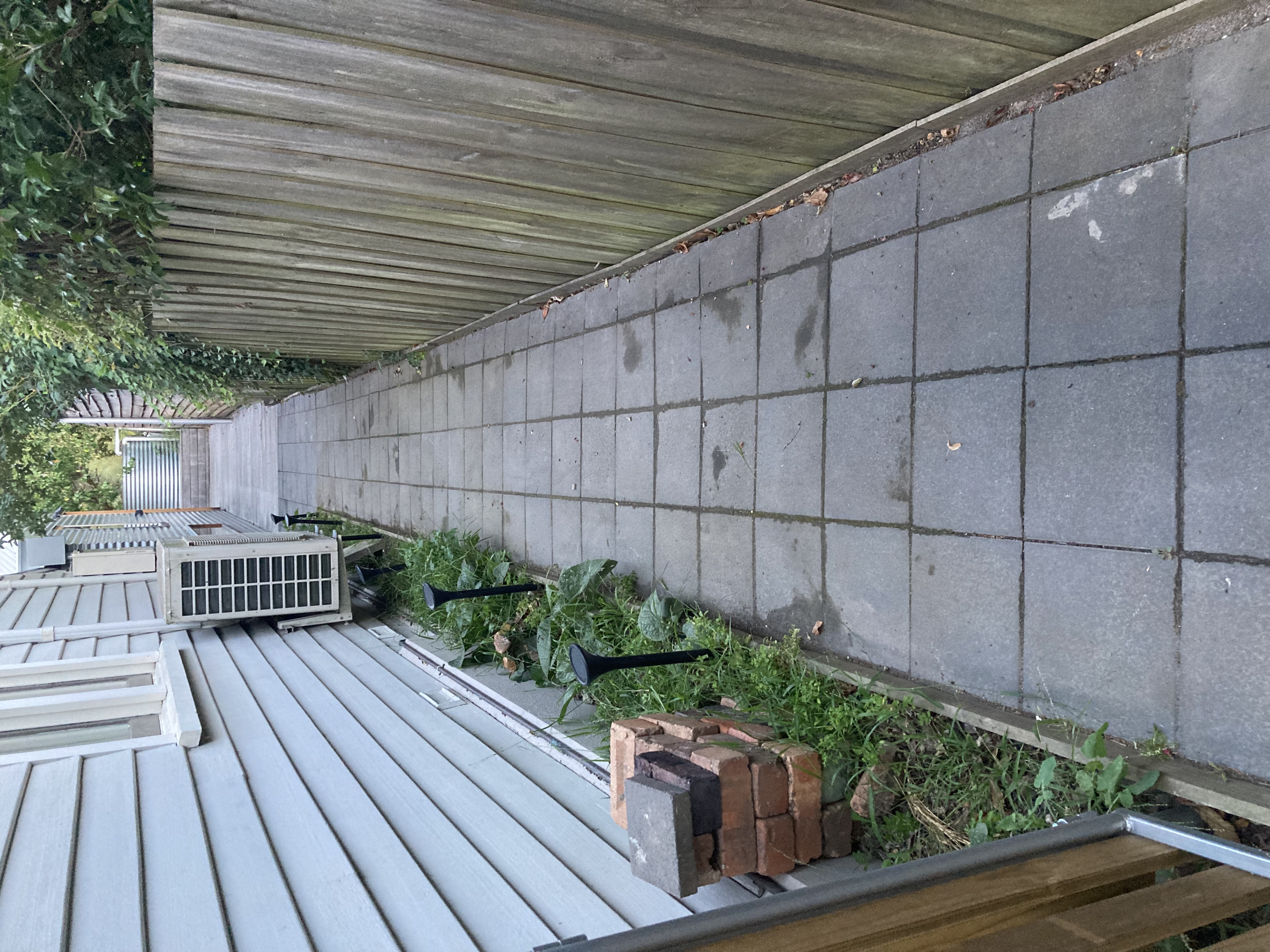 Suite-Shed-path4-accessibility