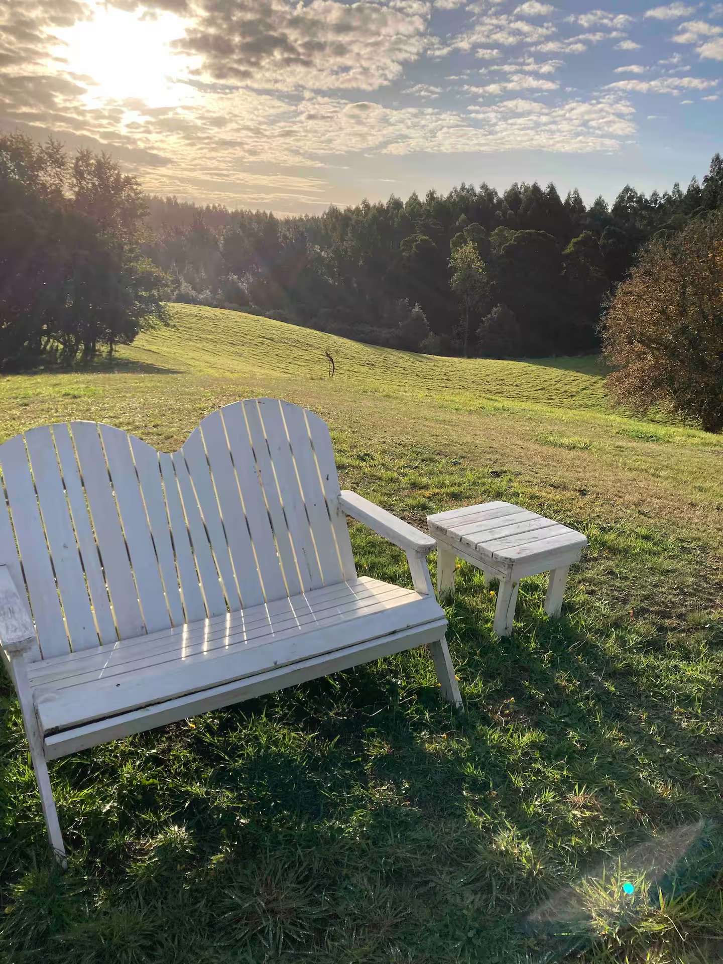 a5d68163-3b20-4940-9660-82f11bd02afc