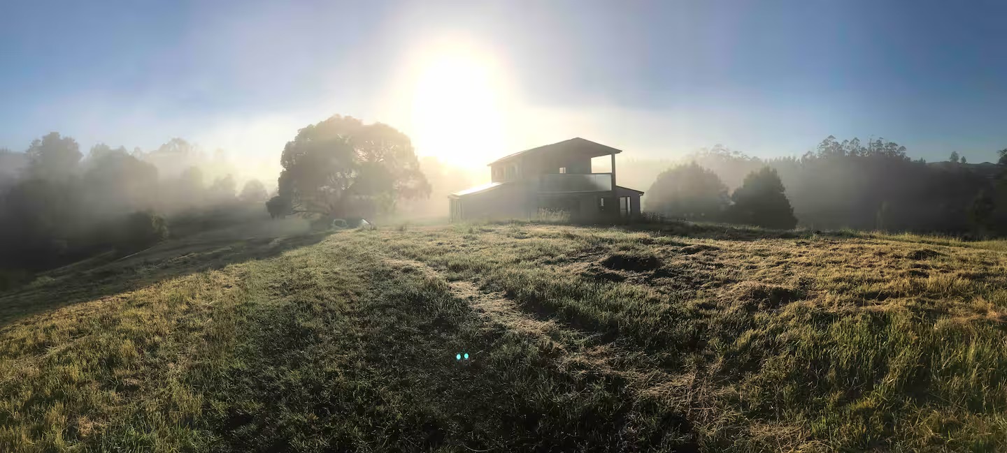 99c8391c-9f46-4080-8d65-bfc6332146d8