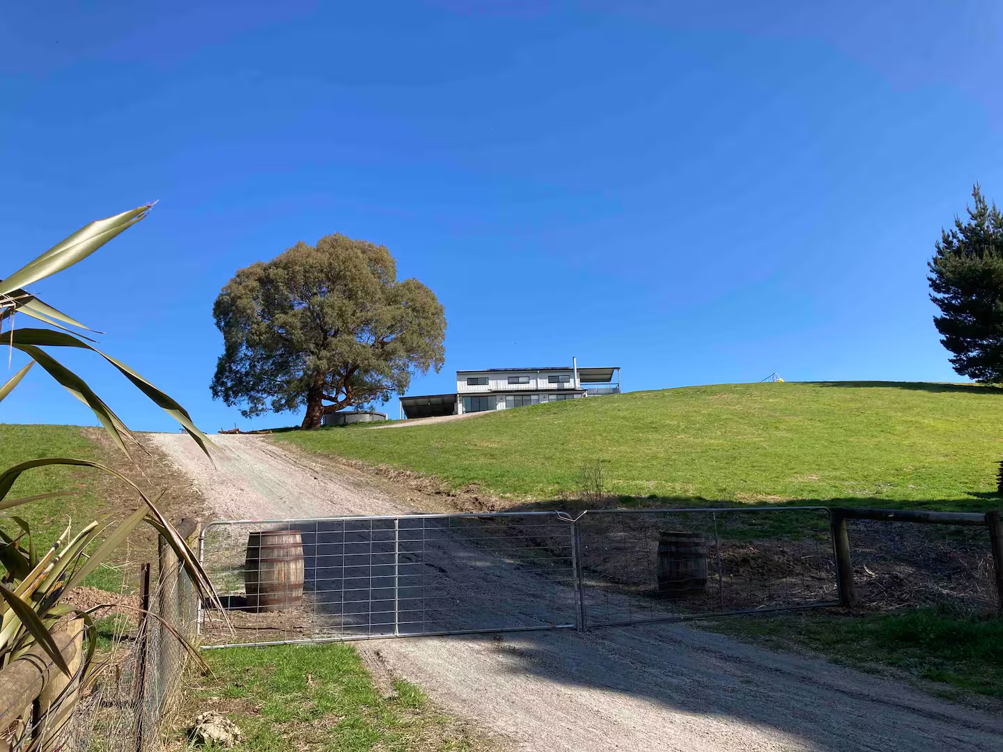 08da9e1d-3f6a-494a-9d20-c684fbde5835