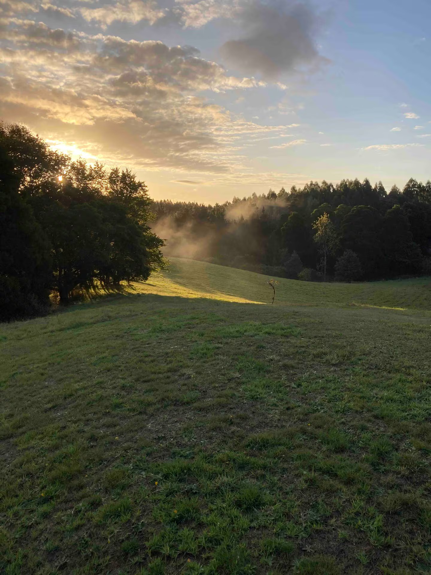 4a050443-ef3c-4719-8a96-f3d6159a831f