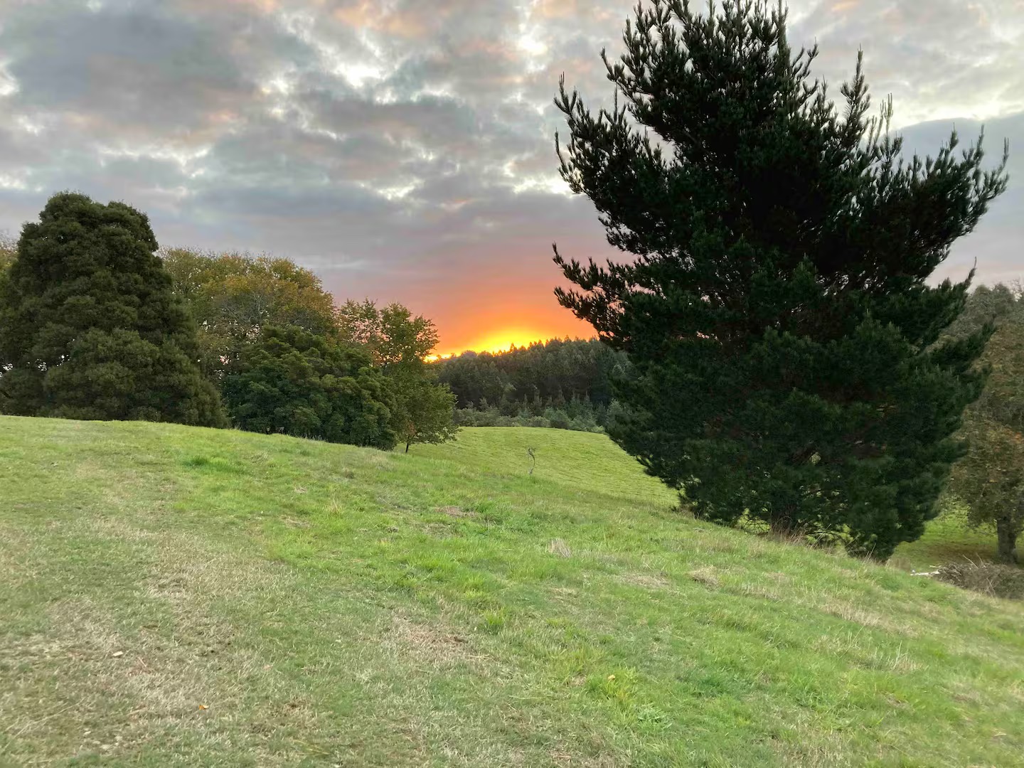 0bbe4bee-3e30-4b55-9ca9-26fe269be085