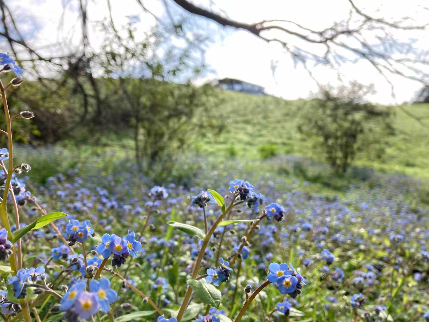 ba1cdd6c-1d2c-4470-9aed-40d41e22566c