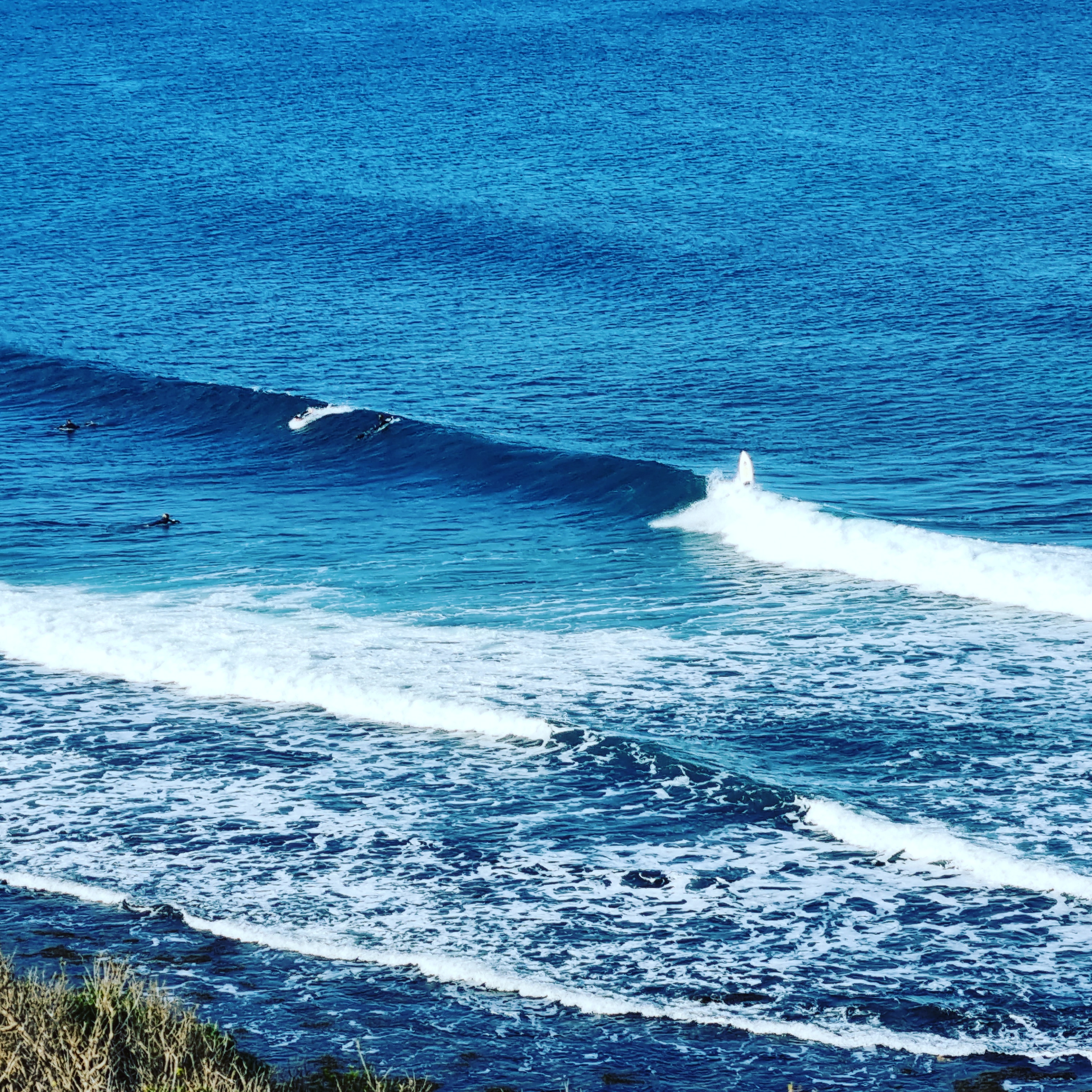 The Art Studio Coastal Retreat's featured image