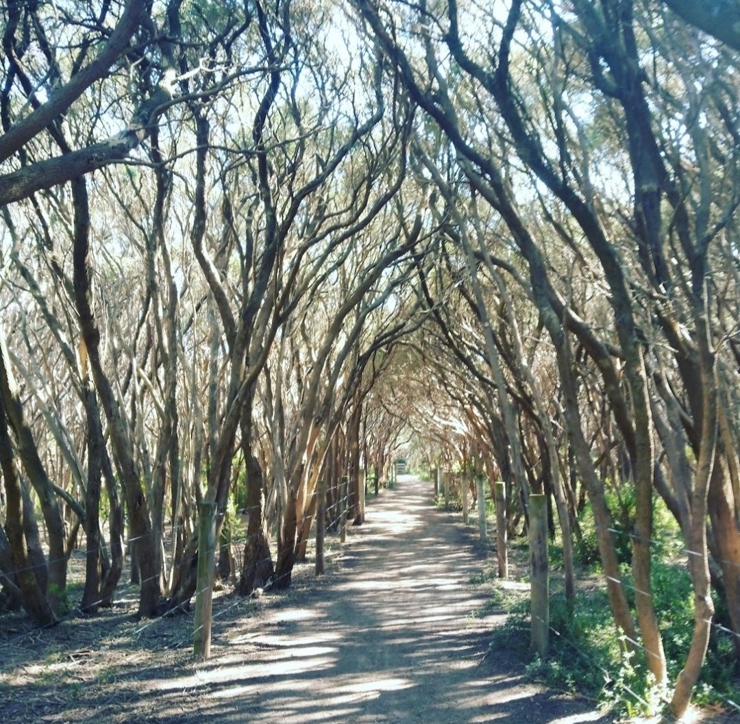 Our fave walk through the village park into town