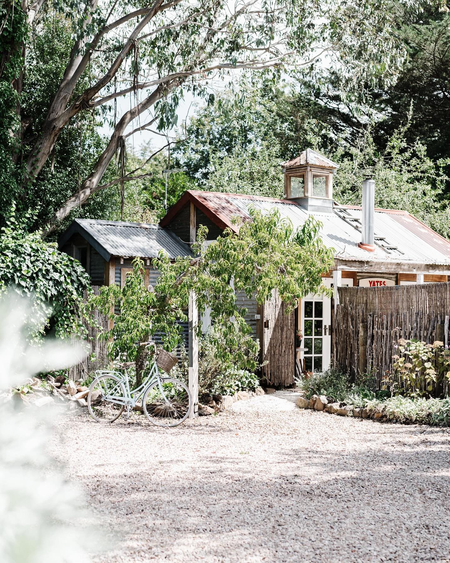 Acre of Roses - The Potting Shed Featured Image 2