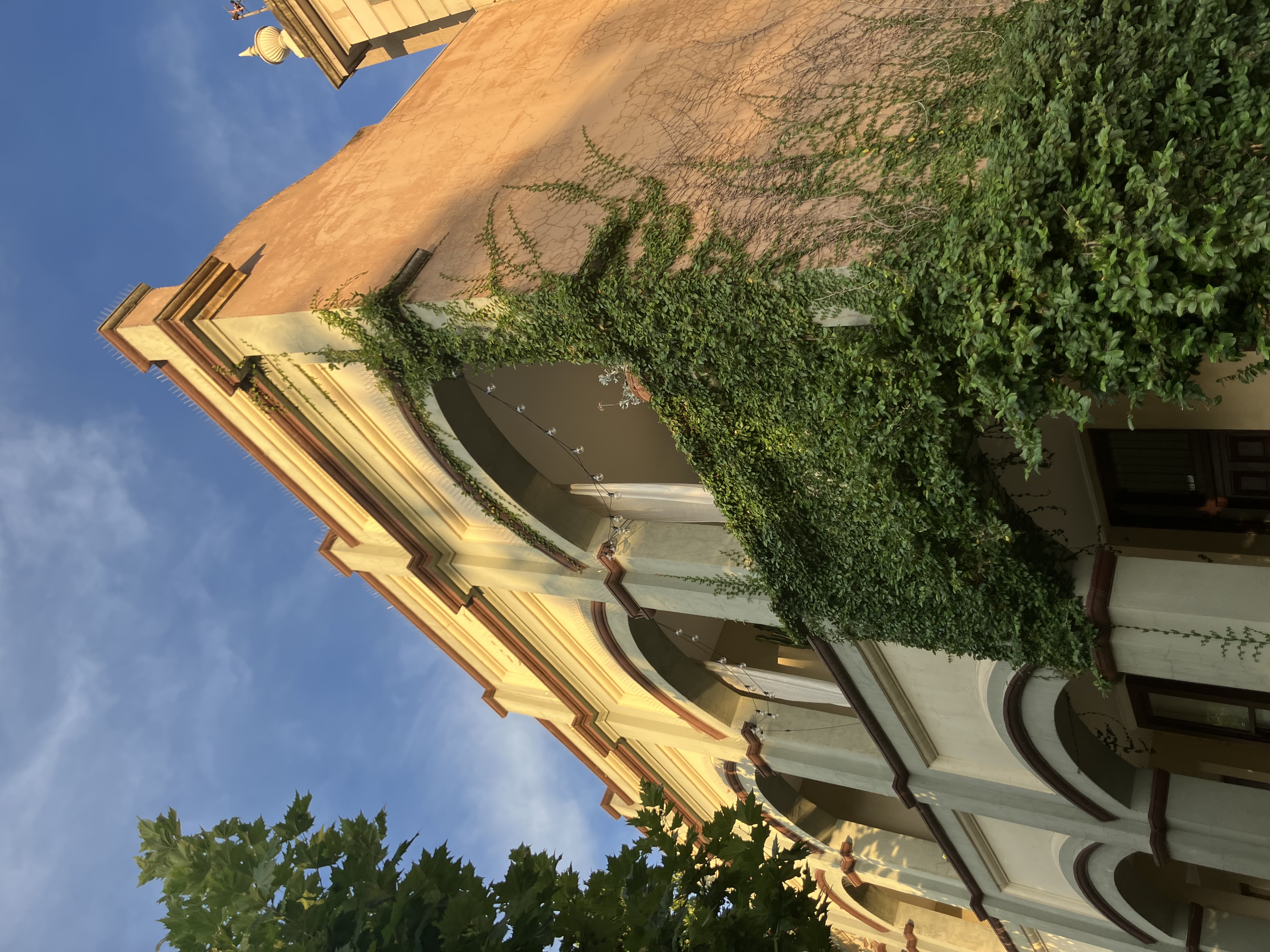 Fitzroy Dreamscape's featured image