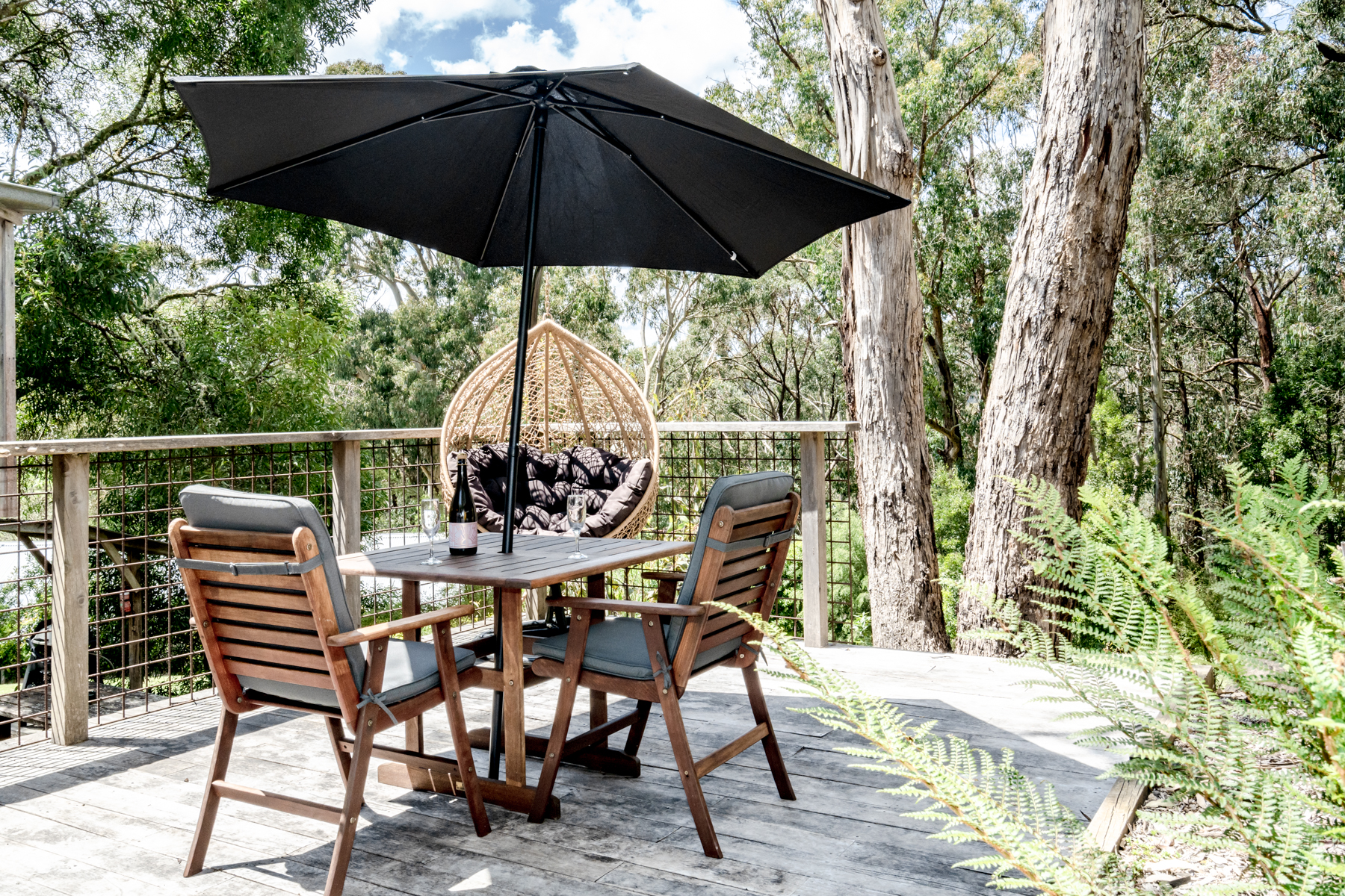 Blackwood deck and egg chair