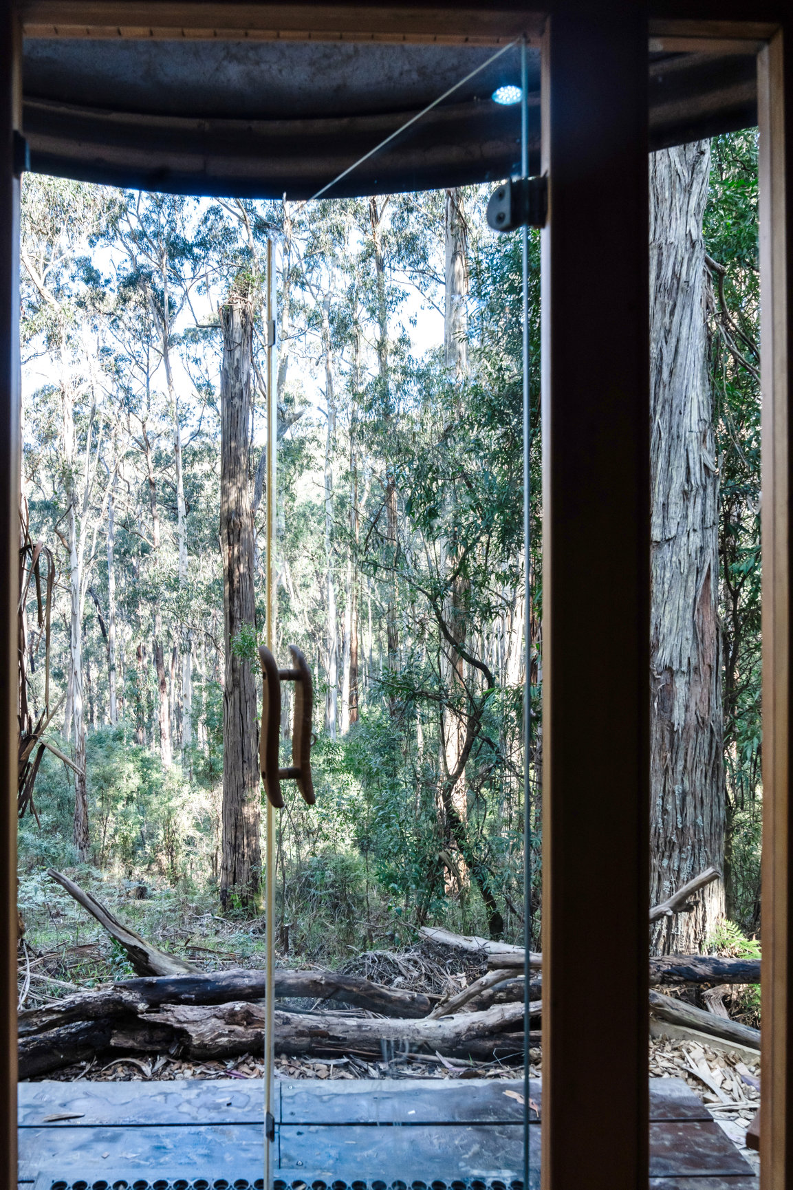 Sauna and door view