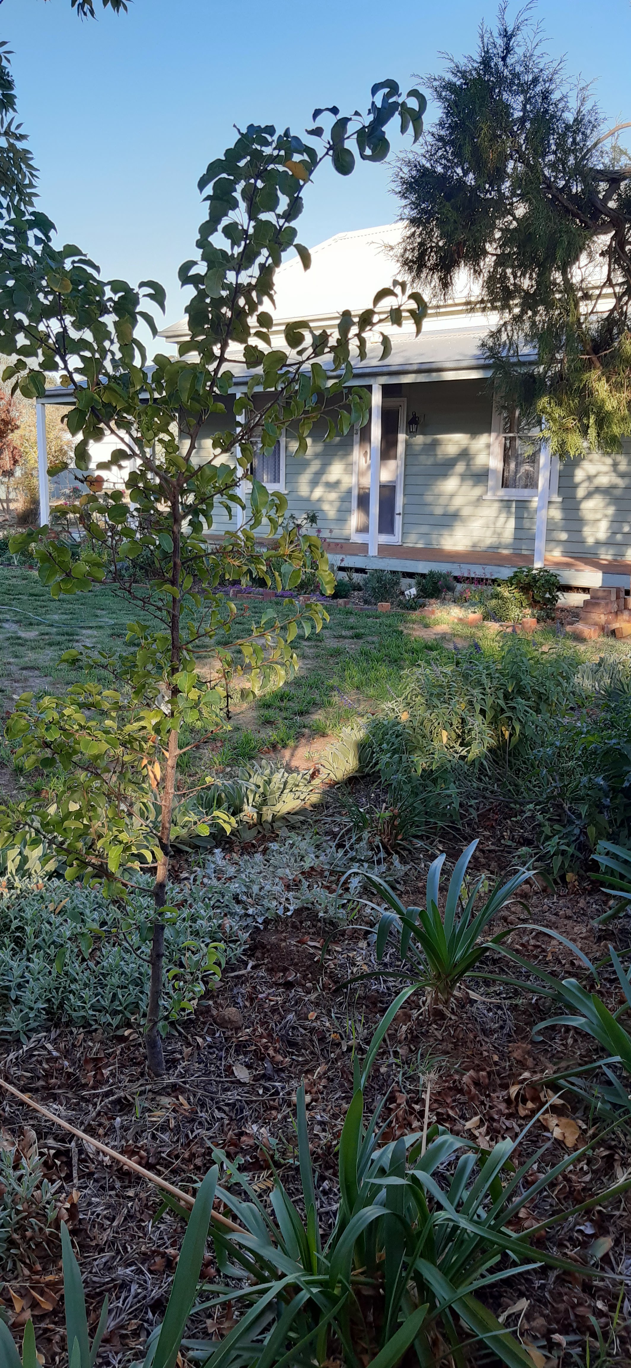 Wattle Creek Cottage's featured image