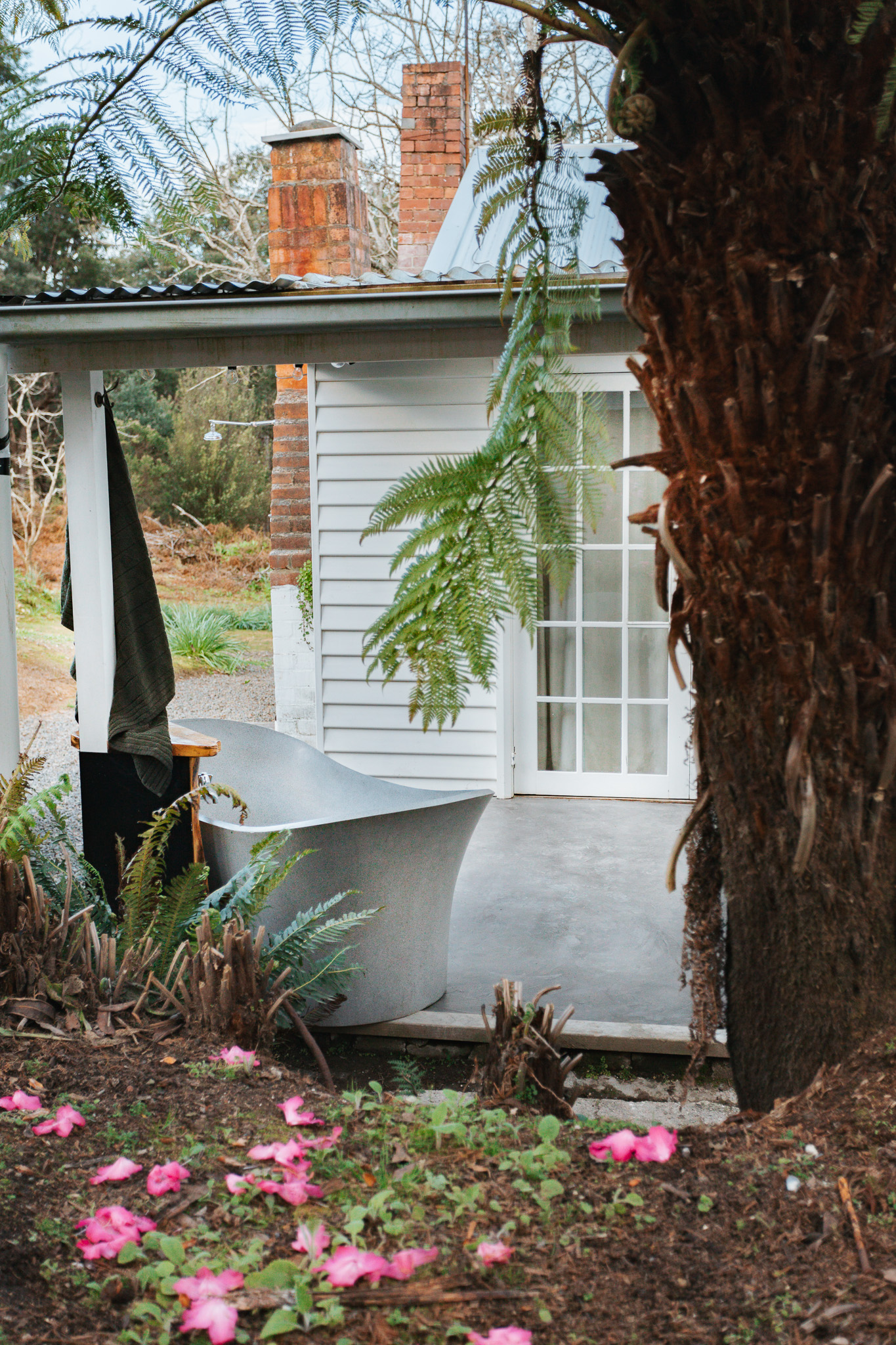 Outdoor bath surrounded by old man ferns.