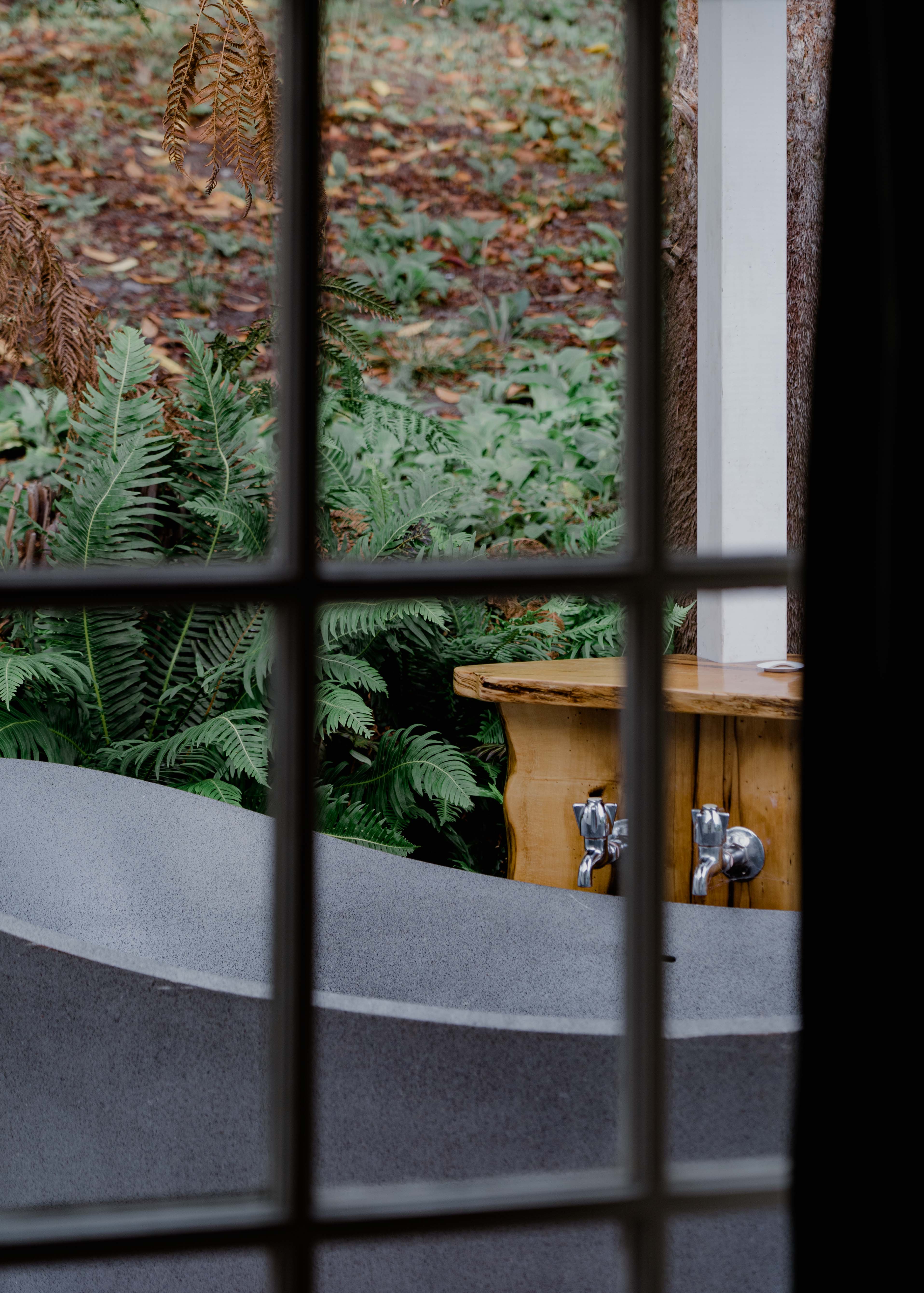 Image of the outdoor bath deck and surrounding ferns from inside the master bedroom.