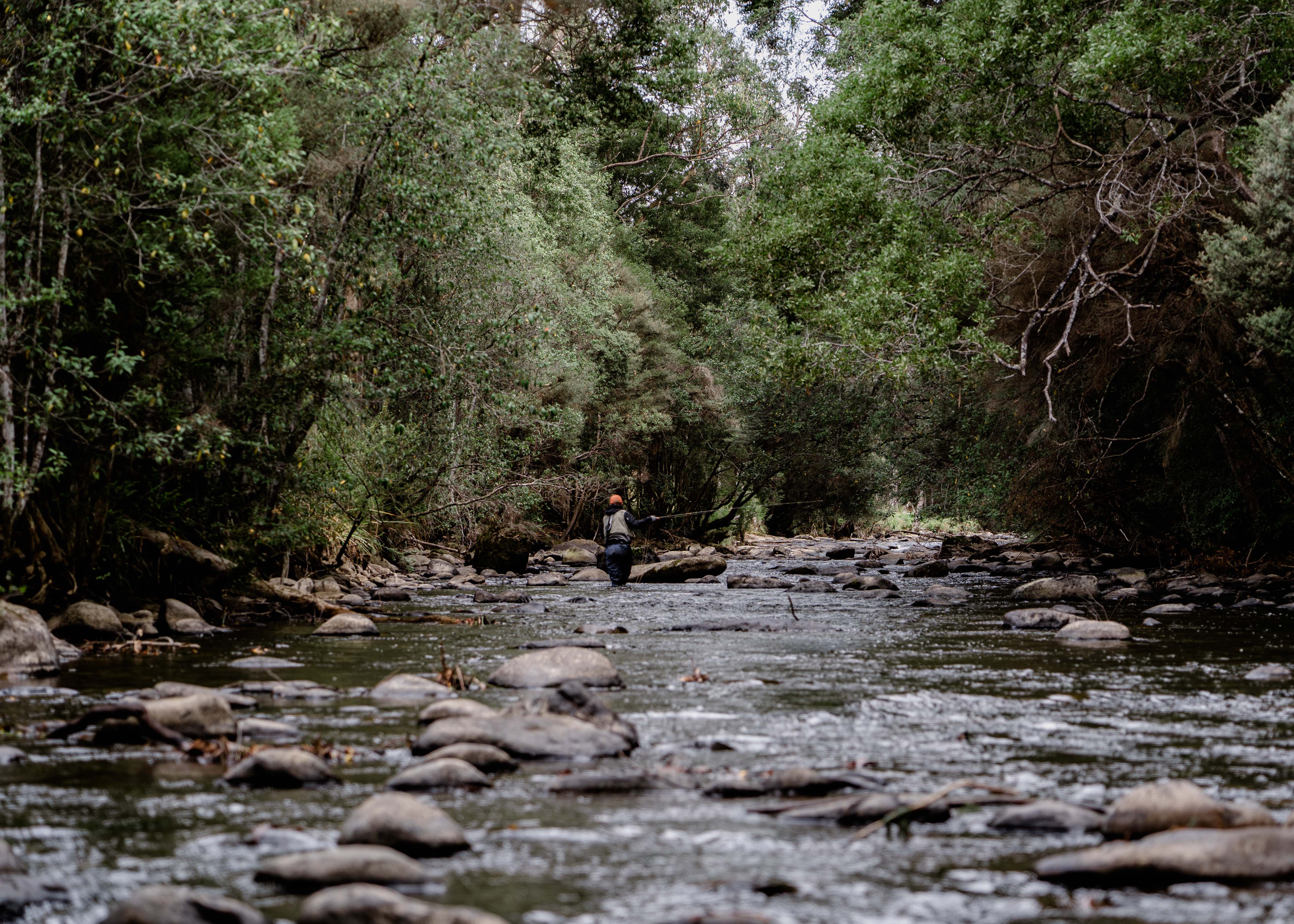 Person fly fishing in the Tyenna River.