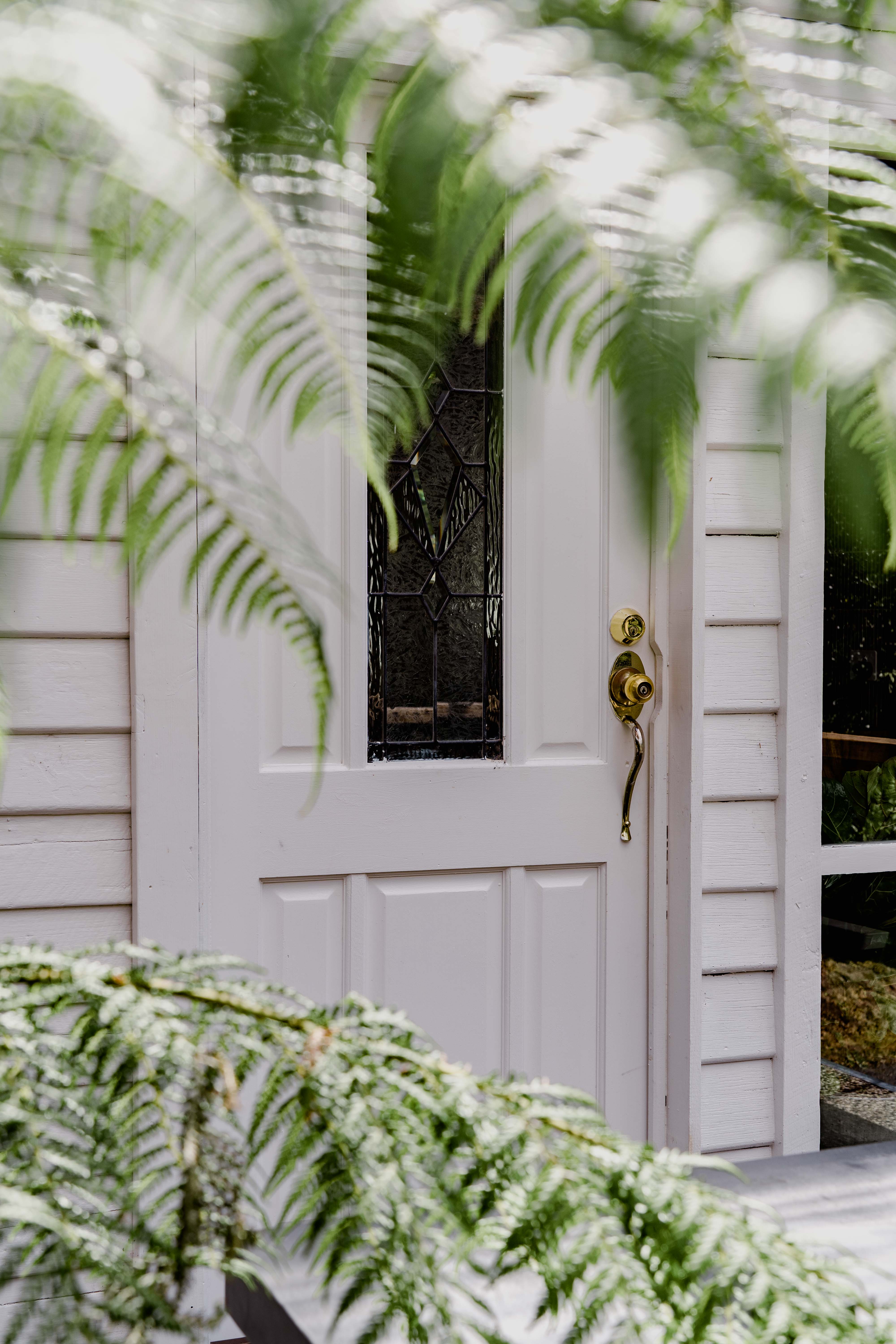 Image of the front door past fern fronds.