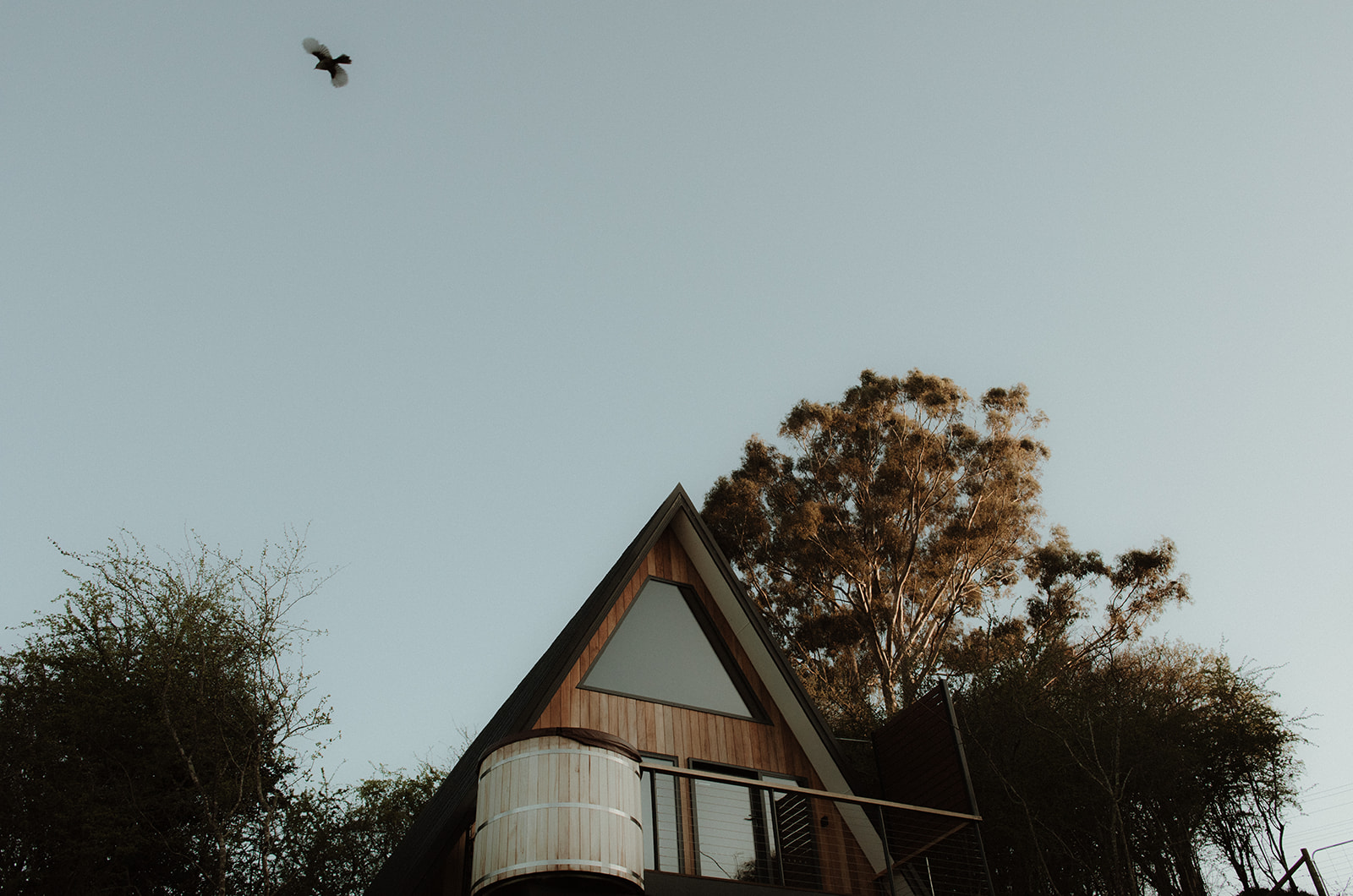 The Eco Cabin Tasmania Featured Image 3
