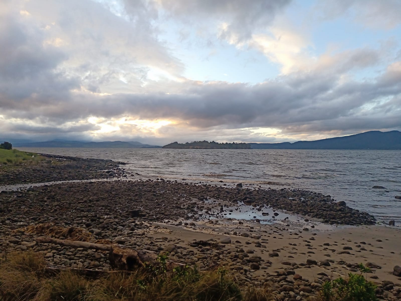 Back of Seagrass 2