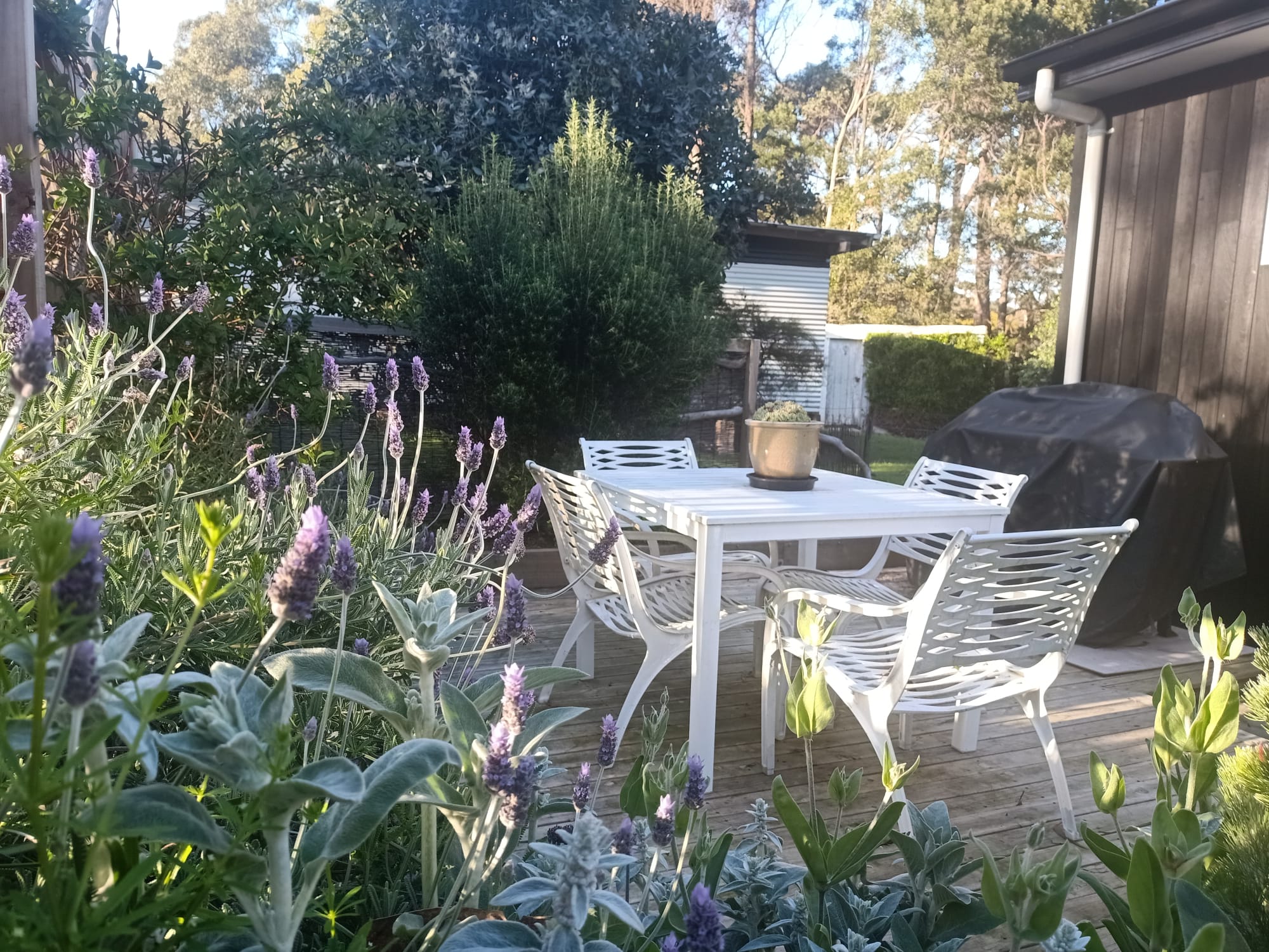 Courtyard 2