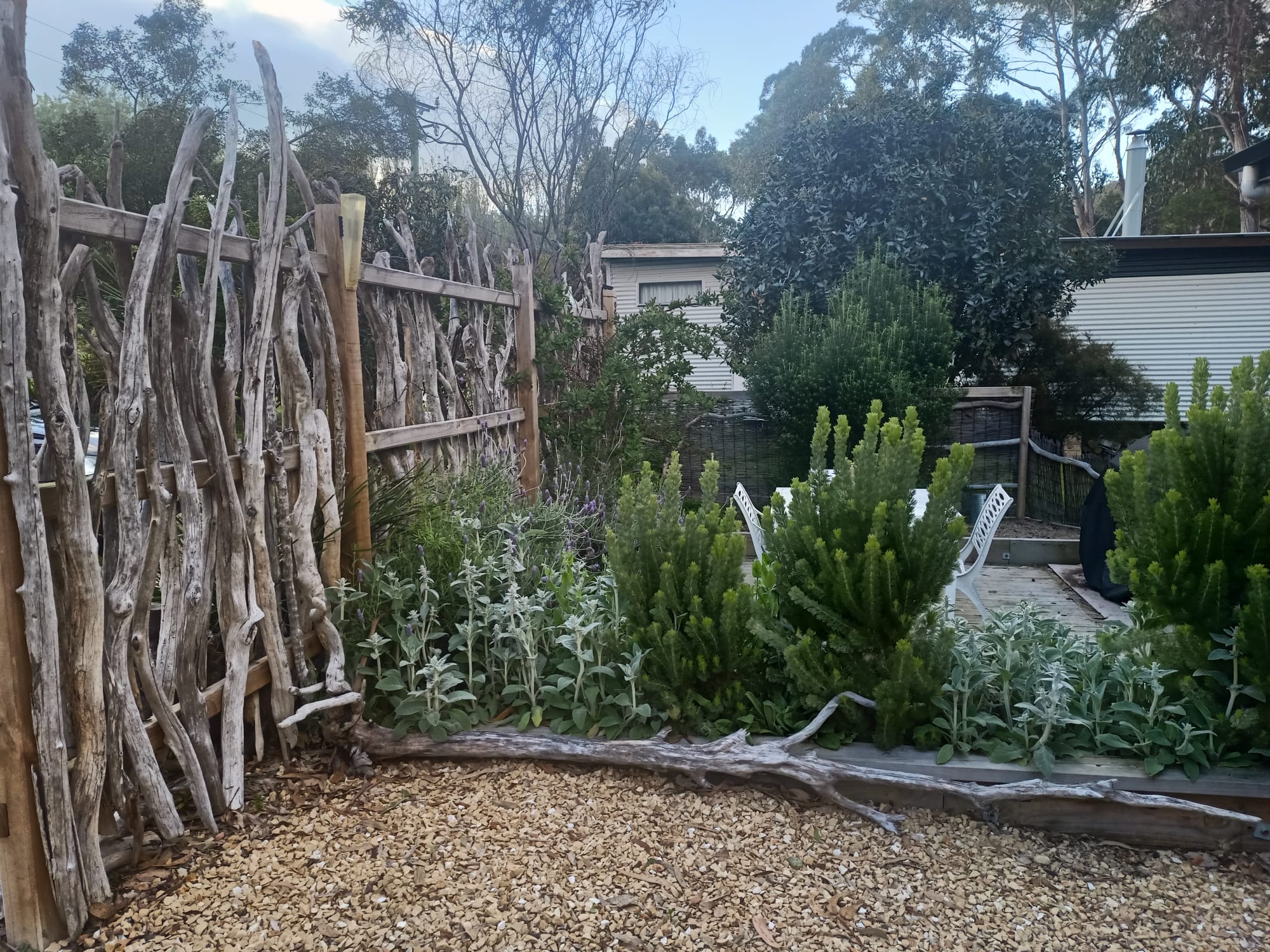 Courtyard 5