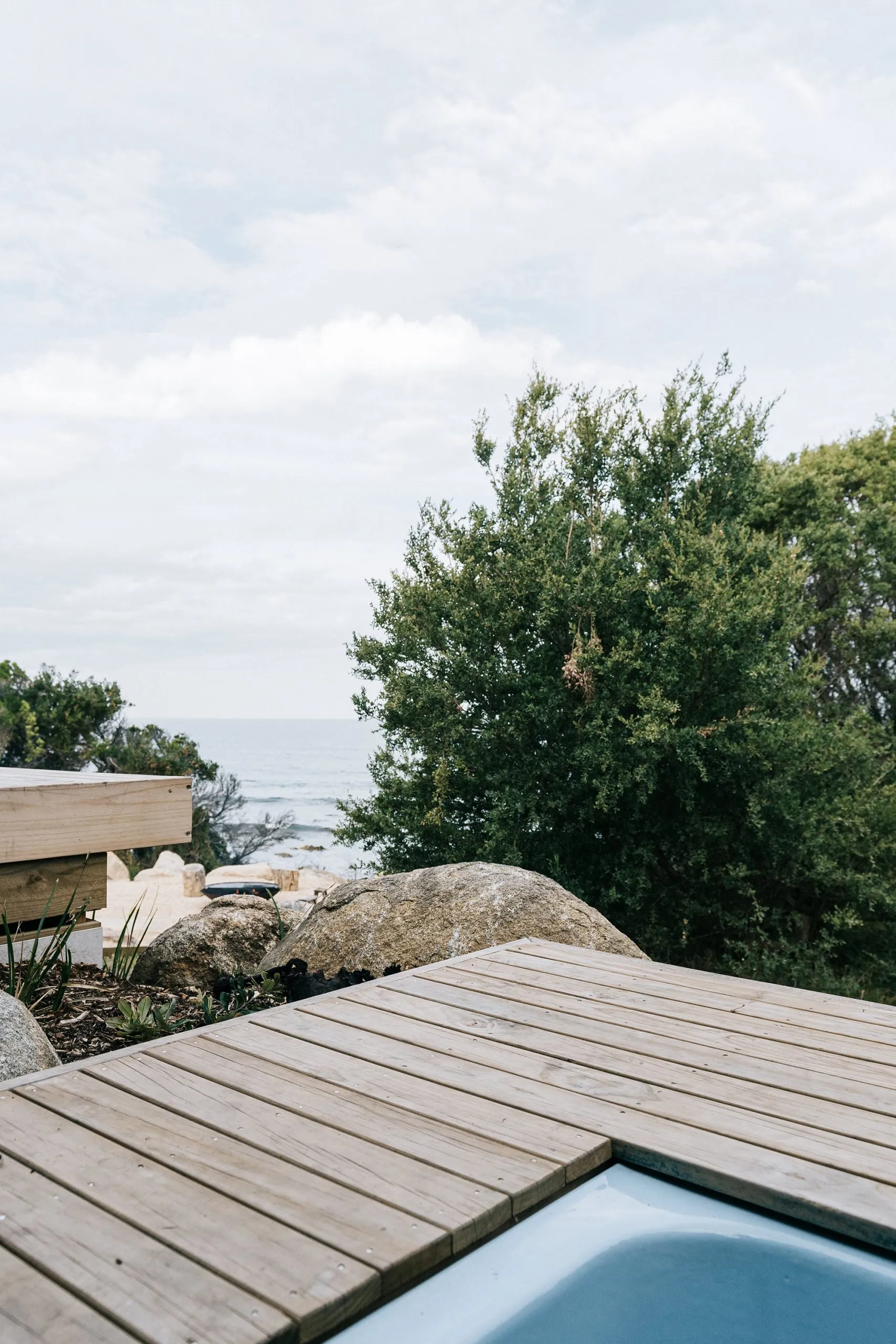 whale-song-falmouth_high-res-116-scaled