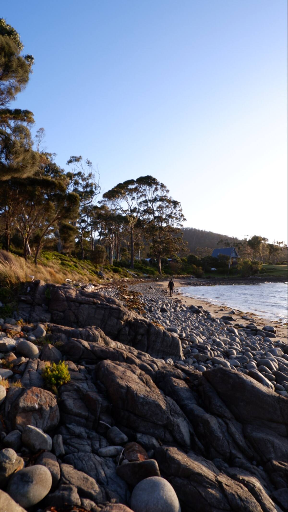 Beach view Seagrass