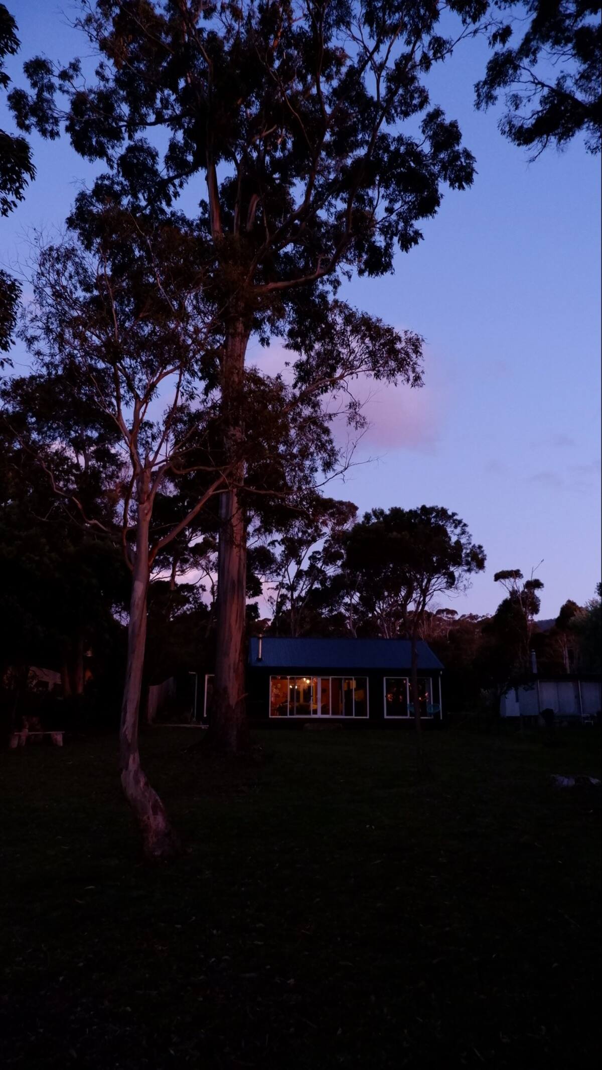 Seagrass night lights on
