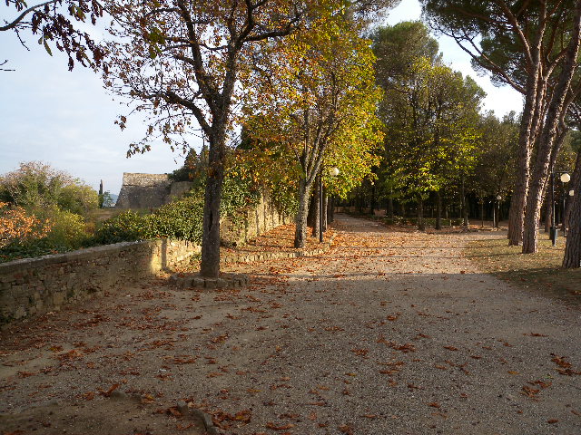 alice property's featured image