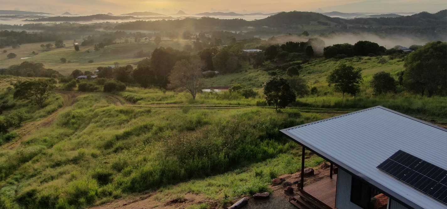 Henry at The Avocado Tree Farm